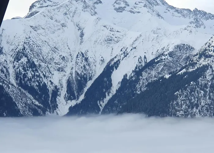 Pleiades , 5 P, 1 Grande Chambre, Un Coin Montagne Et Place De Parking , Belle Vue *